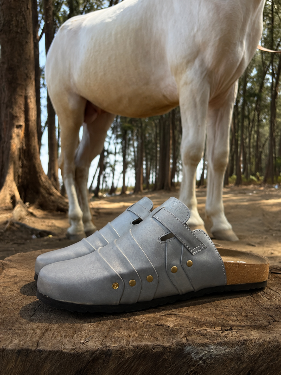 SUGOI SILVER SANDLE