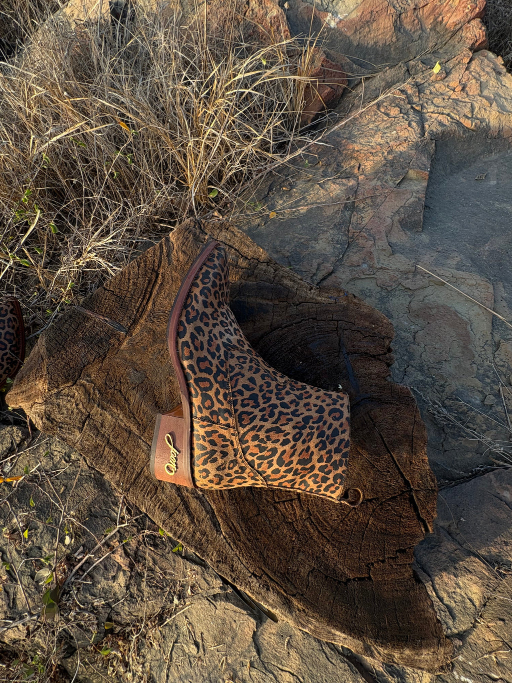 CHEETAH’S PRAYER
